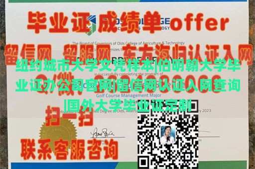 纽约城市大学文凭样本|伯明翰大学毕业证办公司官网|留信网认证入网查询|国外大学毕业证定制