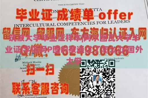 筑波大学毕业证样本|阿尔图瓦大学毕业证|学信网P图的被通过了怎么办|国外大学